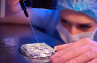 BBC IVF donor investigation widens to 30 children as TRNC Health Ministry faces calls to publish findings