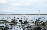 Türkiye faces mounting plastic pollution crisis as record waste imports pile pressure on environment