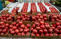 Azerbaijan turns its ‘king of fruits’ into a growing export success