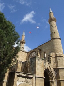 Selimiye Mosque_DSCF1117