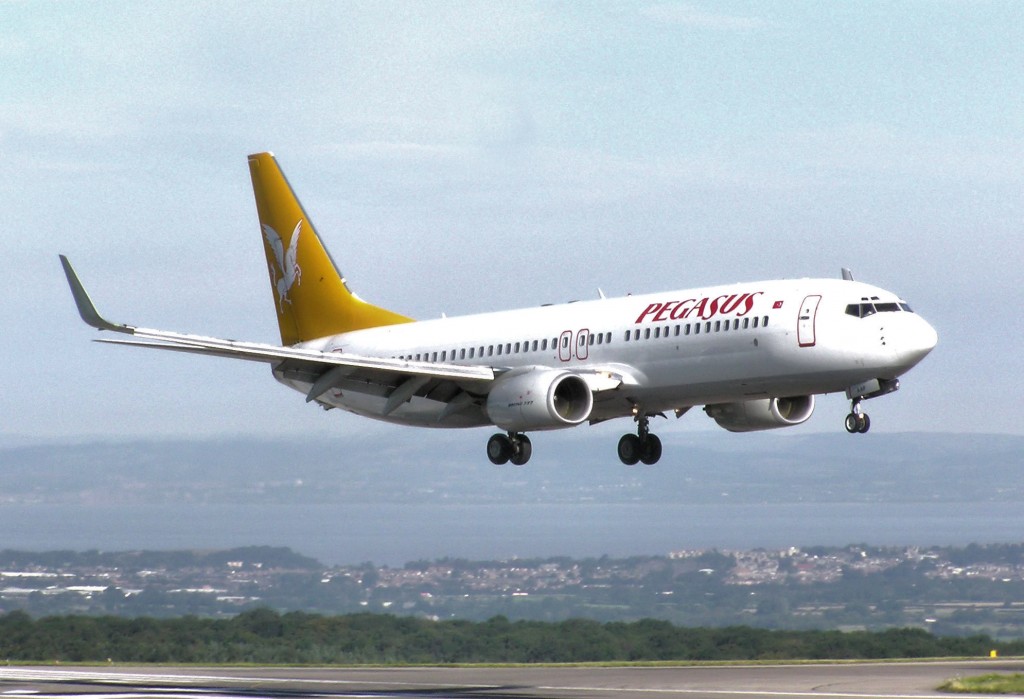 Pegasus Airlines_Wiki_CC licence
