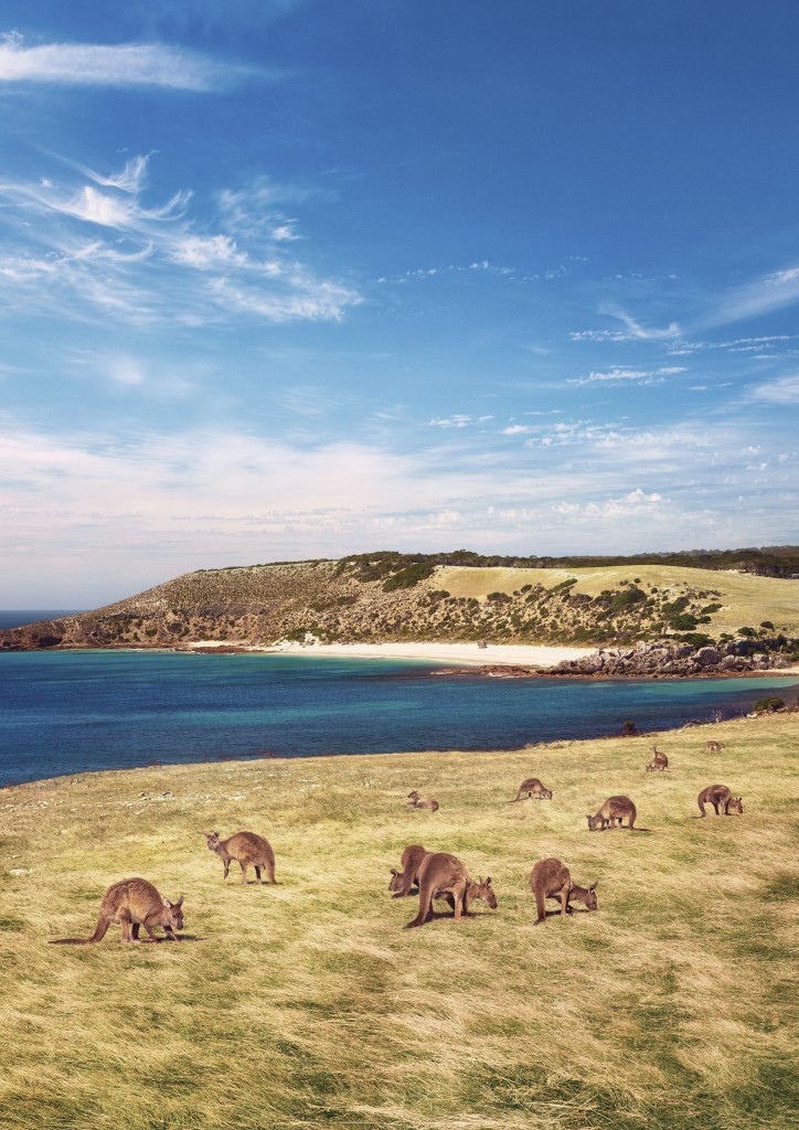 Photo by Paul Torcello of Stokes Bay, Kangaroo Island, South Australia. © South Australian Tourism Commission
